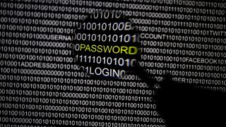 Руски хакери се целят в гостите на хотели, твърди фирма за сигурност
