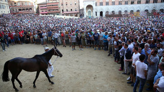 Фотогалерия: Конната надпревара, която 800 години подлудява Сиена