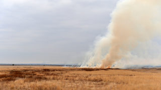 Пожар в сметището на Симитли затруднява движението по път Е-79