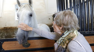 Фотогалерия: Къде живеят липицанските коне