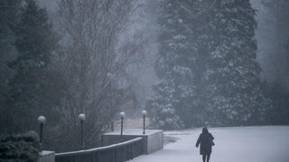Снимка на деня: Януарски сняг в София