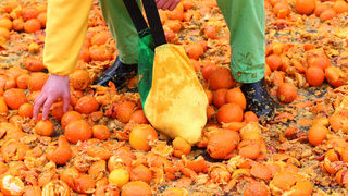Фотогалерия: Битката на портокалите