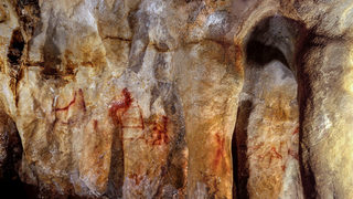 Най-старите пещерни <span class="highlight">рисунки</span> са отпреди появата на Homo Sapiens в Европа