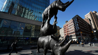 Снимка на деня: В памет на северния бял носорог