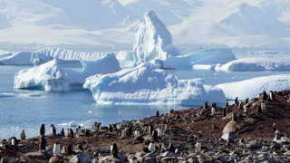 Фотогалерия: Пътуване из Антарктика - срещи с пингвини, тюлени и красиви глетчери