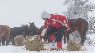 Съдът оправда изоставилия конете си в Осоговската планина фермер