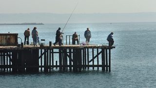 Законопроект предвижда любителите рибари да държат изпит