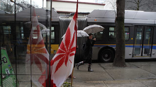 Канада ще е втората страна в света, разрешила марихуаната за развлечение