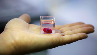Снимка на деня: Първото в света 3D принтирано човешко сърце