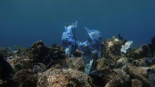 Фотогалерия: <span class="highlight">Водолази</span> чистят "коралови рифове от пластмаса" в Гърция