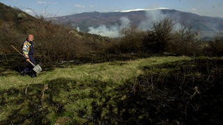 Пожар в Рила е обхванал 400 декара площ
