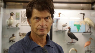 Доц. Петър Шурулинков: Изследванията на птици трябва да са регулярни и експертни
