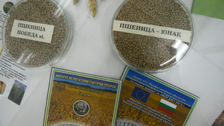 <span class="highlight">Slow</span> <span class="highlight">Food</span> ще покаже на практика каква алтернатива са растителните храни