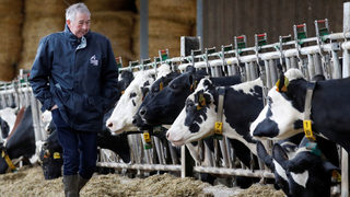 Френските фермери се тревожат за субсидиите в бюджета на ЕС след Брекзит