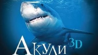 <span class="highlight">IMAX</span> пуска "Акули 3D" в България