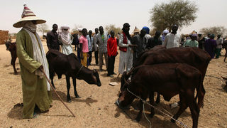 Чад ще плати дълг за $100 млн. с добитък