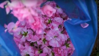 Как кризата заради COVID-19 се отрази на розопроизводството