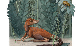 Предшествениците на динозаврите може да са били "миниатюрни"