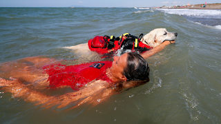 Фотогалерия: Кучетата водни спасители на Италия
