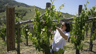 В правенето на вино трудната част са само първите двеста години