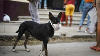 Фотогалерия: Световните снимки на деня - 9 септември