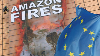 Снимка на деня: Активисти на "Грийнпийс" припомниха проблема с пожарите в Амазонка