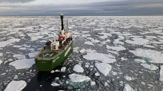 Морският лед в Арктика отново се сви почти до рекордно ниво