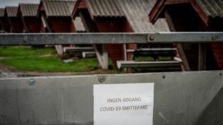 Фотогалерия: Дания унищожава фермите за <span class="highlight">норки</span> заради COVID-19