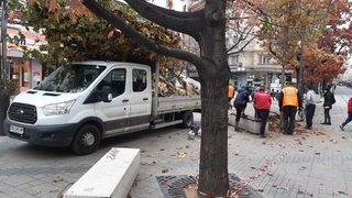 Дървета на площад "Славейков" бяха отсечени, защото изсъхнали