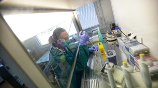 По-смъртоносен ли е новият вариант на коронавируса във Великобритания