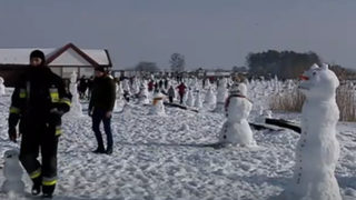 В Полша направиха 1000 снежни човека заради благотворителна <span class="highlight">кауза</span>