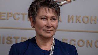 Банката за развитие ще приключи годината със загуба