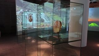 Копията на Панагюрското и Варненското съкровище са освободени от властите в Дубай (допълнена)
