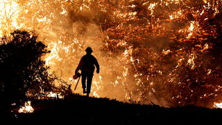 Снимка с <span class="highlight">история</span>: Непредсказуемостта на горските пожари