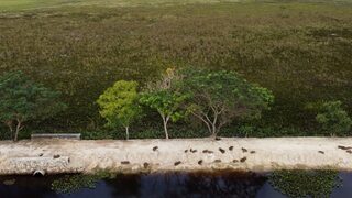 Фотогалерия: Венецуелските земеделци се борят с икономическите проблеми и недостига на <span class="highlight">гориво</span>