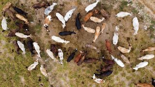 Фотогалерия: Венецуелските земеделци се борят с икономическите проблеми и недостига на <span class="highlight">гориво</span>