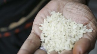 Как оризът ще спаси света от глад