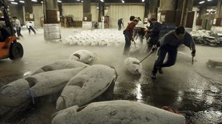 ЕС изнудвал държави за по-високи квоти за риба тон