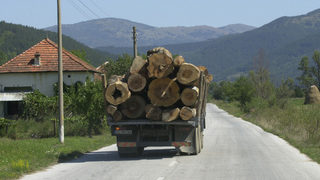 Агенцията по горите: 3 млн. куб. метра дървесина могат да се използват <span class="highlight">за</span> екогориво