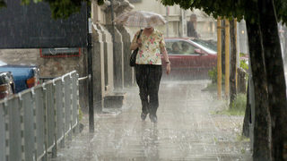 Рекордни количества дъжд се изсипаха над Северозападна България