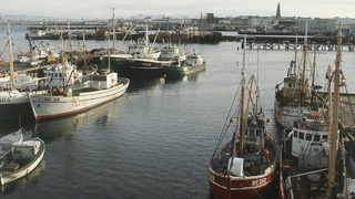ЕС намали риболовните квоти за 2012 г. на страни, превишили улова