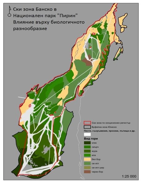 Фрагменти в различни видове гори (виж легендата) прорязани от ски писти, лифтове и друга инфраструктура, Ски зона Банско, НП "Пирин"