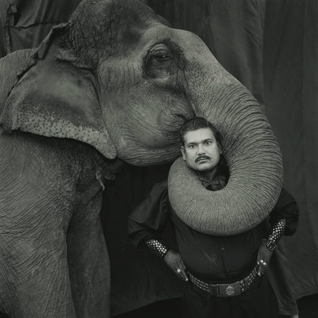 Рам Пракаш Синг със слона Шаяма, "Великият златен цирк", Индия, 1990