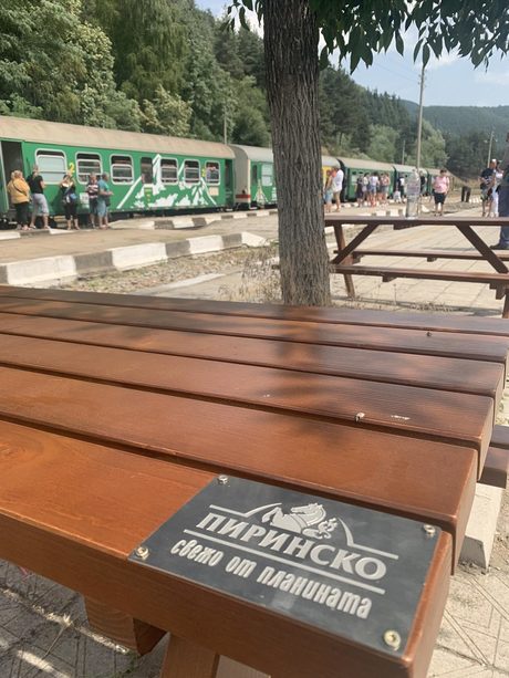 Пътуване из Родопите? Защо не!