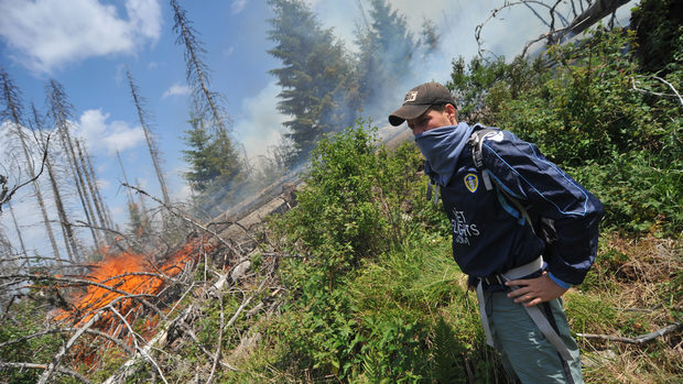 При пожара на Витоша няма изгоряла жива гора, а само единични дървета