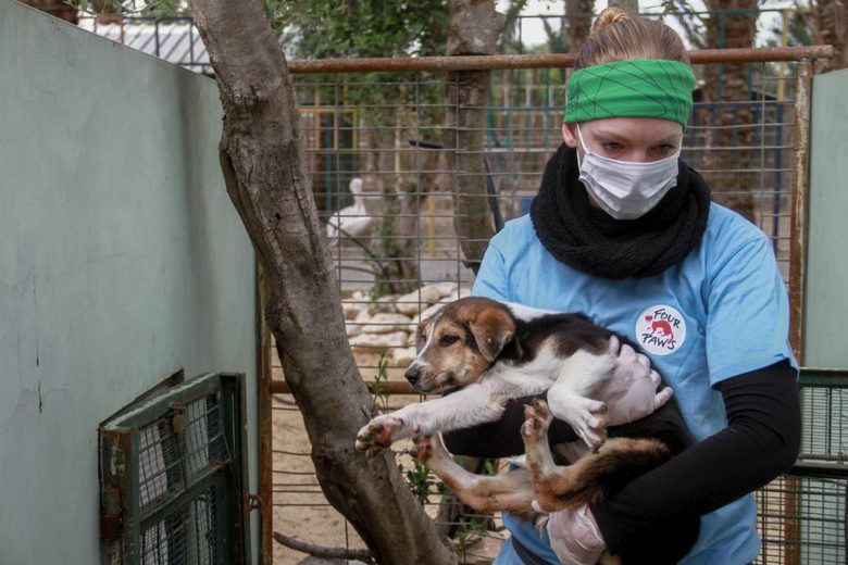 От "Четири лапи" спасяват бедстващи животни в зоопарка в Газа
