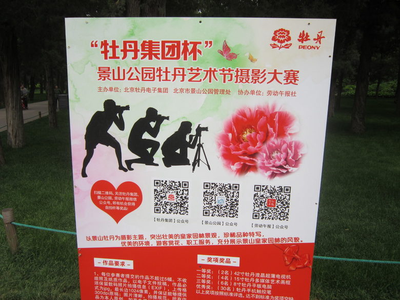 Инструкция за правилно снимане на цветя в парка