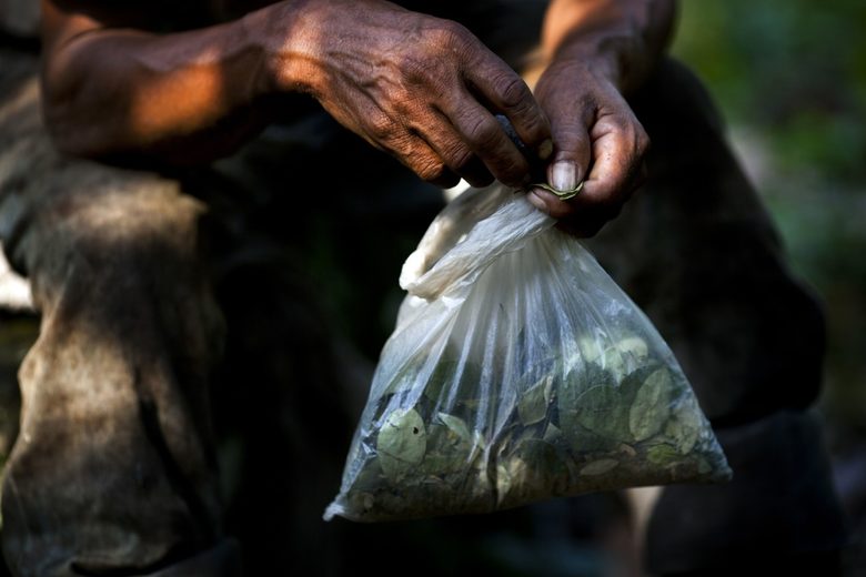 Засаждай кока или се махай - защо се провали колумбийската война с дрогата
