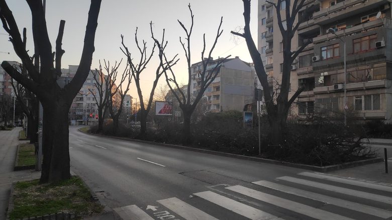 Дървета във Варна отново са "обезглавени", въпреки че това ги унищожава