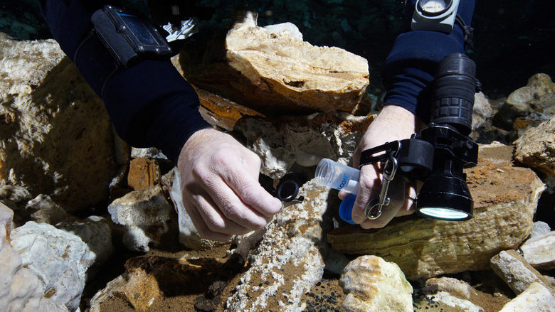 Праисторическа мина за охра бе открита в подводна пещера в Мексико